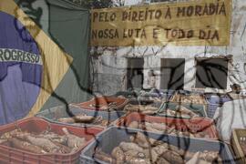 [Título n/d] : lote nº 002, pasta nº 001351, doc. nº 000353 [imagem] / Fotógrafo(a) : [autoria n/d].