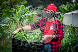 [Título n/d] : lote nº 002, pasta nº 001317, doc. nº 000059 [imagem] / Fotógrafo(a) : [autoria n/d].