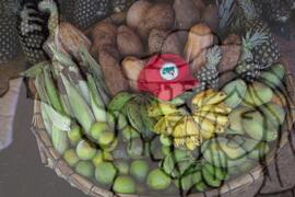 [Título n/d] : lote nº 002, pasta nº 001351, doc. nº 000477 [imagem] / Fotógrafo(a) : [autoria n/d].