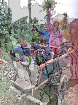 [Título n/d] : lote nº 002, pasta nº 000025, doc. nº 000005 [imagem] / Fotógrafo(a) : [autoria n/d].