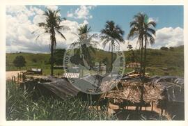 Acampamento do MST [sem identificação] (Itamaraju-BA, [sem data]) [fotografia] / Fotógrafo(a) : Douglas Mansur. -- Ref.: BR-SPMST_MST-SN-CIN_AMP_000061-000573-ACP.