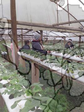 [Título n/d] : lote nº 002, pasta nº 000033, doc. nº 000022 [imagem] / Fotógrafo(a) : [autoria n/d].