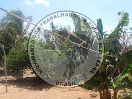 [Título n/d] : lote nº 002, pasta nº 001312, doc. nº 000028 [imagem] / Fotógrafo(a) : [autoria n/d].