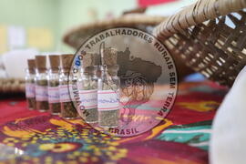 [Título n/d] : lote nº 002, pasta nº 000015, doc. nº 000263 [imagem] / Fotógrafo(a) : [autoria n/d].