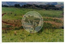 Assentamento "30 de outubro" do MST (Santa Catarina, [sem data]) [fotografia] / Fotógrafo(a) : Douglas Mansur. -- Ref.: BR-SPMST_MST-SN-CIN_AMP_000199-001461-ASS.