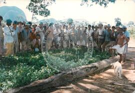 Produção no assentamento (Espírito Santo, fev. 1988) [fotografia] / Fotógrafo(a) : [sem autoria]. -- Ref.: BR-SPMST_MST-SN-CIN_AMP_001971-015105-PDU.