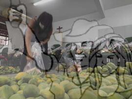 [Título n/d] : lote nº 002, pasta nº 001351, doc. nº 000313 [imagem] / Fotógrafo(a) : [autoria n/d].