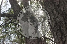 [Título n/d] : lote nº 002, pasta nº 000008, doc. nº 000024 [imagem] / Fotógrafo(a) : [autoria n/d].