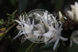 [Título n/d] : lote nº 002, pasta nº 001313, doc. nº 000065 [imagem] / Fotógrafo(a) : [autoria n/d].