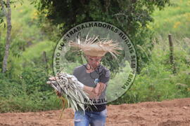 [Título n/d] : lote nº 002, pasta nº 000014, doc. nº 000211 [imagem] / Fotógrafo(a) : [autoria n/d].