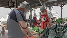 [Título n/d] : lote nº 002, pasta nº 001351, doc. nº 000067 [imagem] / Fotógrafo(a) : [autoria n/d].