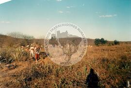 Assentamento do MST [sem identificação] (Santa Catarina, [sem data]) [fotografia] / Fotógrafo(a) : Arquivo MST ; Cristiane Tramonte. -- Ref.: BR-SPMST_MST-SN-CIN_AMP_000198-001425-ASS.