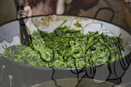 [Título n/d] : lote nº 002, pasta nº 001325, doc. nº 000011 [imagem] / Fotógrafo(a) : [autoria n/d].