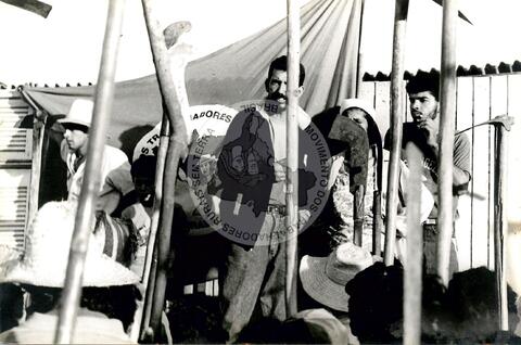 Original Document numérique not accessible