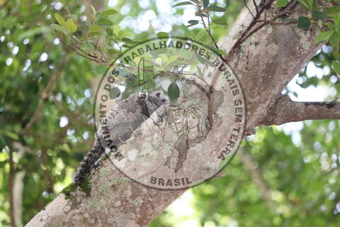 Original Objeto digital not accessible