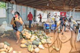 [Título n/d] : lote nº 002, pasta nº 001351, doc. nº 000264 [imagem] / Fotógrafo(a) : [autoria n/d].