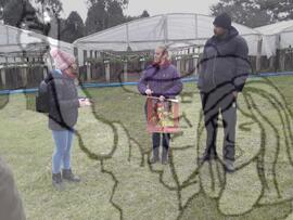 [Título n/d] : lote nº 002, pasta nº 000033, doc. nº 000068 [imagem] / Fotógrafo(a) : [autoria n/d].