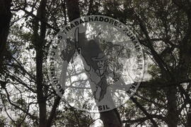 [Título n/d] : lote nº 002, pasta nº 000008, doc. nº 000033 [imagem] / Fotógrafo(a) : [autoria n/d].