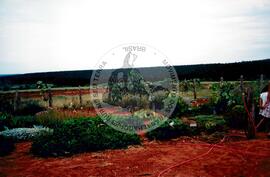 Inauguração da Rádio Comunitária (Itapeva-SP, 28 nov. 2008) [fotografia] / Fotógrafo(a) : Cláudio Foschieira. -- Ref.: BR-SPMST_MST-SN-CIN_AMP_000696-004070-ARV.