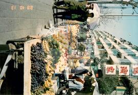 Marcha contra as privatizações (El Salvador, 1995) [fotografia] / Fotógrafo(a) : Mara Luz. -- Ref.: BR-SPMST_MST-SN-CIN_AMP_001071-008672-RIT.