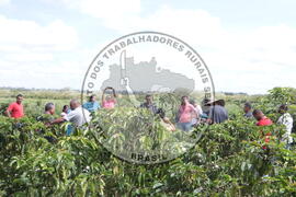 [Título n/d] : lote nº 002, pasta nº 001313, doc. nº 000034 [imagem] / Fotógrafo(a) : [autoria n/d].