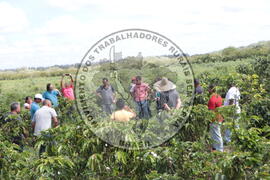 [Título n/d] : lote nº 002, pasta nº 001313, doc. nº 000037 [imagem] / Fotógrafo(a) : [autoria n/d].