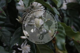 [Título n/d] : lote nº 002, pasta nº 001313, doc. nº 000052 [imagem] / Fotógrafo(a) : [autoria n/d].