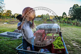 [Título n/d] : lote nº 002, pasta nº 001350, doc. nº 000027 [imagem] / Fotógrafo(a) : [autoria n/d].