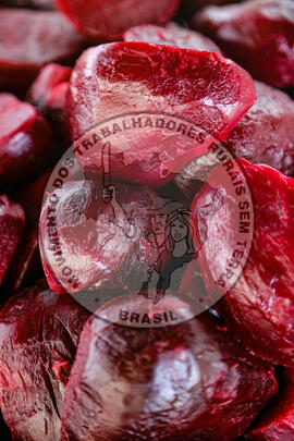 [Título n/d] : lote nº 002, pasta nº 001342, doc. nº 000043 [imagem] / Fotógrafo(a) : [autoria n/d].