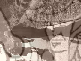 [Título n/d] : lote nº 002, pasta nº 000043, doc. nº 000136 [imagem] / Fotógrafo(a) : [autoria n/d].