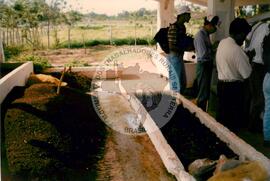 Curso de Agricultura Sustentável (Cuba, 1997) [fotografia] / Fotógrafo(a) : Arquivo MST. -- Ref.: BR-SPMST_MST-SN-CIN_AMP_001040-008267-RIT.