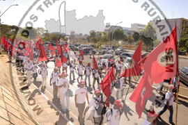 [Título n/d] : lote nº 002, pasta nº 000044, doc. nº 000565 [imagem] / Fotógrafo(a) : [autoria n/d].