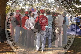 [Título n/d] : lote nº 002, pasta nº 000044, doc. nº 000591 [imagem] / Fotógrafo(a) : [autoria n/d].