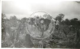 Assentamento do MST [sem identificação] (Santa Catarina, [sem data]) [fotografia] / Fotógrafo(a) : Arquivo MST ; Cristiane Tramonte. -- Ref.: BR-SPMST_MST-SN-CIN_AMP_000198-001427-ASS.