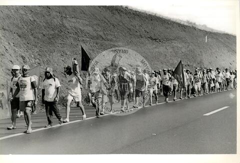 Original Digitaal object not accessible