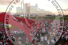 [Título n/d] : lote nº 002, pasta nº 000044, doc. nº 000259 [imagem] / Fotógrafo(a) : [autoria n/d].