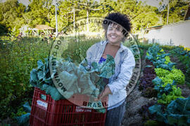 [Título n/d] : lote nº 002, pasta nº 001351, doc. nº 000023 [imagem] / Fotógrafo(a) : [autoria n/d].