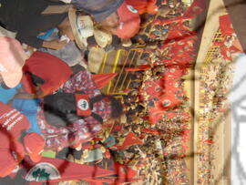 [Título n/d] : lote nº 002, pasta nº 000043, doc. nº 000140 [imagem] / Fotógrafo(a) : [autoria n/d].