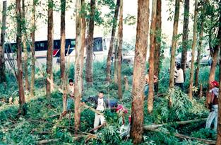 Original Document numérique not accessible