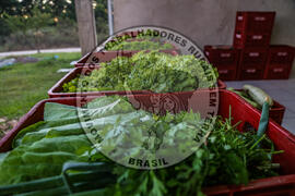 [Título n/d] : lote nº 002, pasta nº 001350, doc. nº 000005 [imagem] / Fotógrafo(a) : [autoria n/d].