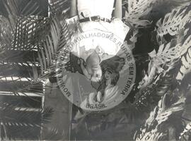 Vera Lúcia (Brasil, set. 1991) [fotografia] / Fotógrafo(a) : Arquivo MST. -- Ref.: BR-SPMST_MST-SN-CIN_AMP_001380-010904-LID.