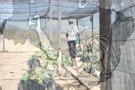 [Título n/d] : lote nº 002, pasta nº 001312, doc. nº 000346 [imagem] / Fotógrafo(a) : [autoria n/d].