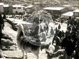 Campesinos Equatorianos (Equador, 1985) [fotografia] / Fotógrafo(a) : Liliana Lavarotti. -- Ref.: BR-SPMST_MST-SN-CIN_AMP_001073-008674-RIT.