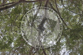 [Título n/d] : lote nº 002, pasta nº 000008, doc. nº 000021 [imagem] / Fotógrafo(a) : [autoria n/d].