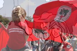 [Título n/d] : lote nº 002, pasta nº 000062, doc. nº 000043 [imagem] / Fotógrafo(a) : [autoria n/d].