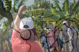 [Título n/d] : lote nº 002, pasta nº 001333, doc. nº 000009 [imagem] / Fotógrafo(a) : [autoria n/d].