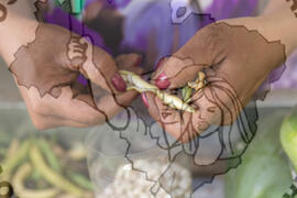 [Título n/d] : lote nº 002, pasta nº 001319, doc. nº 000077 [imagem] / Fotógrafo(a) : [autoria n/d].