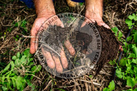 [Título n/d] : lote nº 002, pasta nº 001317, doc. nº 000037 [imagem] / Fotógrafo(a) : [autoria n/d].