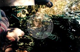 Exposição de Leo Santanda "Os Bandos" (Ouro Preto-MG, 10 jul. 1996) [fotografia] / Fotógrafo(a) : Léo Santana. -- Ref.: BR-SPMST_MST-SN-CIN_AMP_001024-007940-ELF.