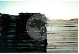 Oficina de Rádio no assentamento "Conquista da Fronteira" do MST (Hulha Negra-RS, jun. 2001) [fotografia] / Fotógrafo(a) : Leticia Barqueta. -- Ref.: BR-SPMST_MST-SN-CIN_AMP_000691-003875-ARV.